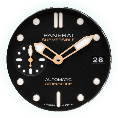 PAM02164
