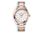 omega seamaster aqua terra 150m 41 mm 22020412102001 main face